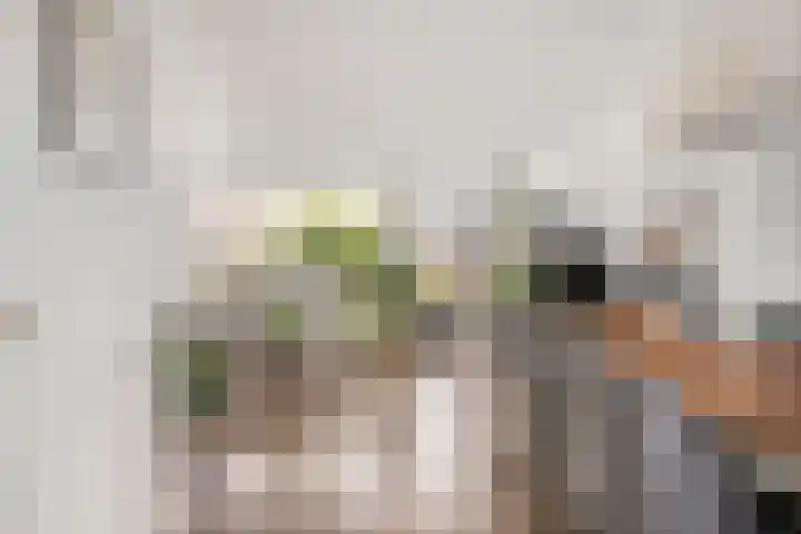 Prof. K. Schilderhof 9 Kampen thumbnail 11