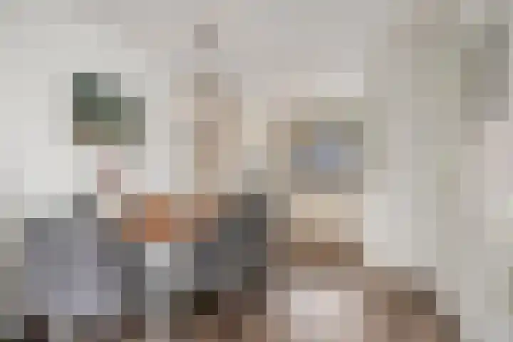 Prof. K. Schilderhof 9 Kampen thumbnail 14