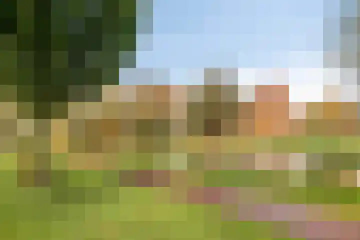 Prof. K. Schilderhof 9 Kampen thumbnail 39