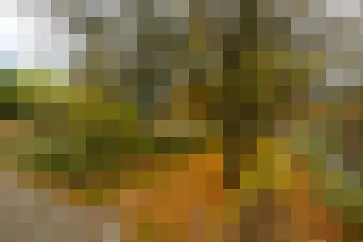 Prof. Kamerlingh Onneslaan 181 Sliedrecht thumbnail 20
