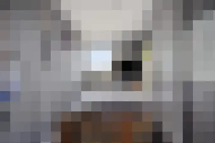 Prof. Kamerlingh Onnesstraat 39 Hoensbroek thumbnail 35