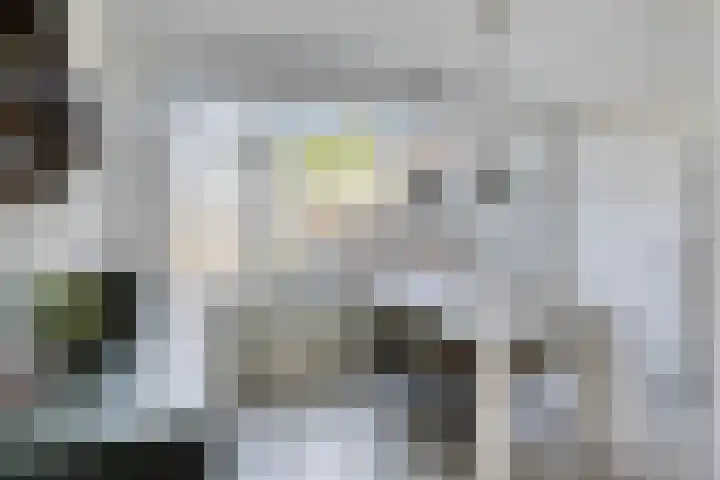 Prof. Kamerlingh Onnesstraat 53 Hoensbroek thumbnail 5
