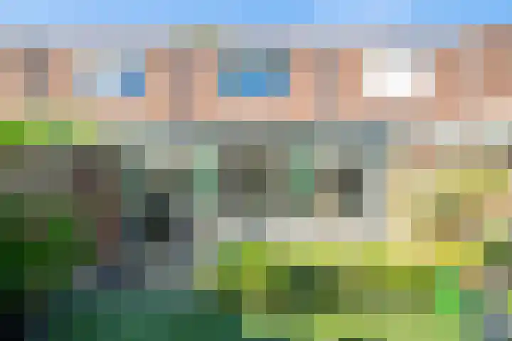 Prof. Kamerlingh Onnesstraat 55 Hoensbroek thumbnail 10