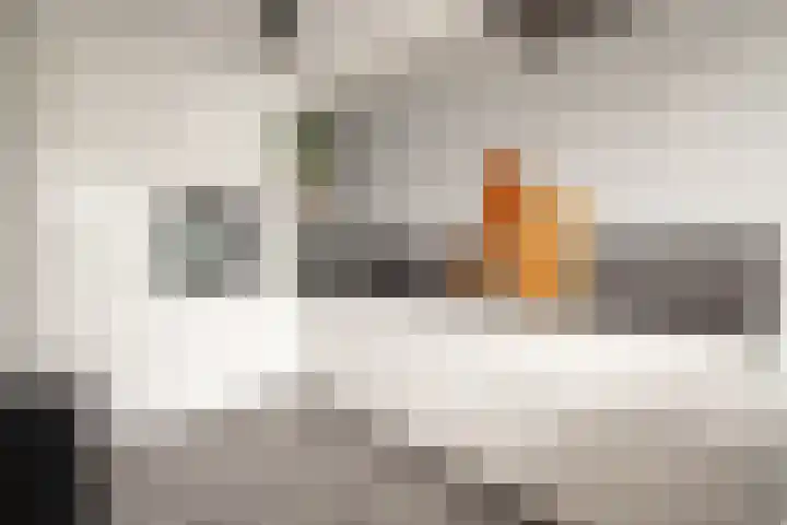Prof. Kamerlingh Onnesstraat 55 Hoensbroek thumbnail 8