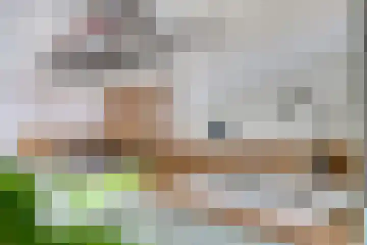 Prof. Keesomlaan 20 Sliedrecht thumbnail 10