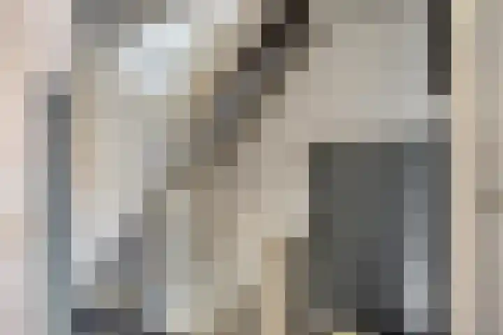 Prof. Keesomlaan 20 Sliedrecht thumbnail 12