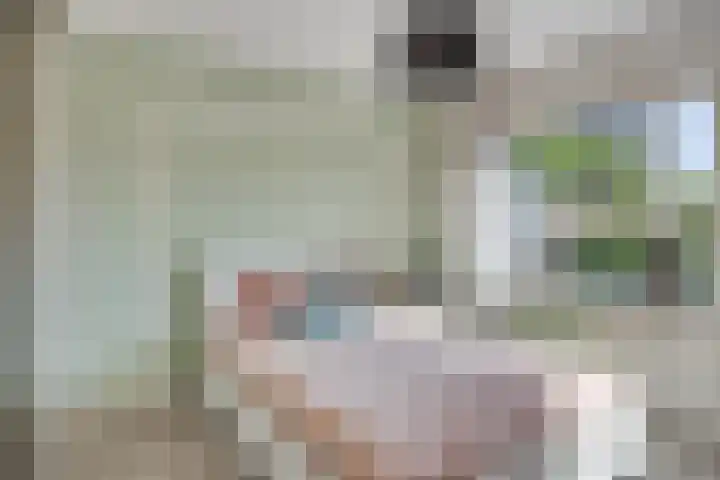 Prof. Keesomlaan 20 Sliedrecht thumbnail 13