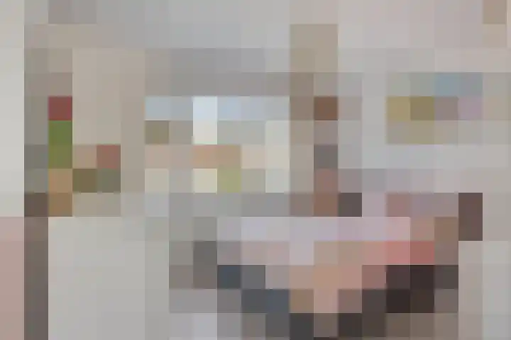 Prof. Keesomlaan 20 Sliedrecht thumbnail 15