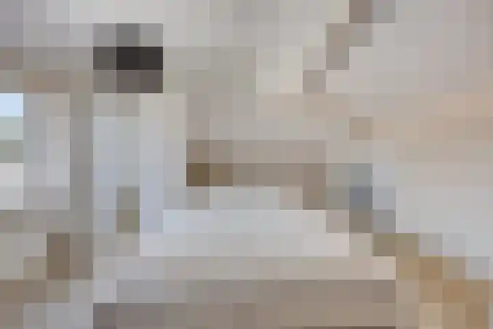 Prof. Keesomlaan 20 Sliedrecht thumbnail 22
