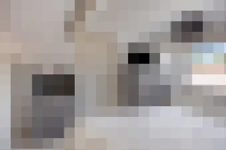 Prof. Keesomlaan 20 Sliedrecht thumbnail 23