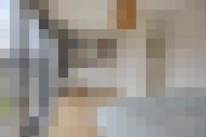 Prof. Kohnstammstraat 53 Utrecht thumbnail 15