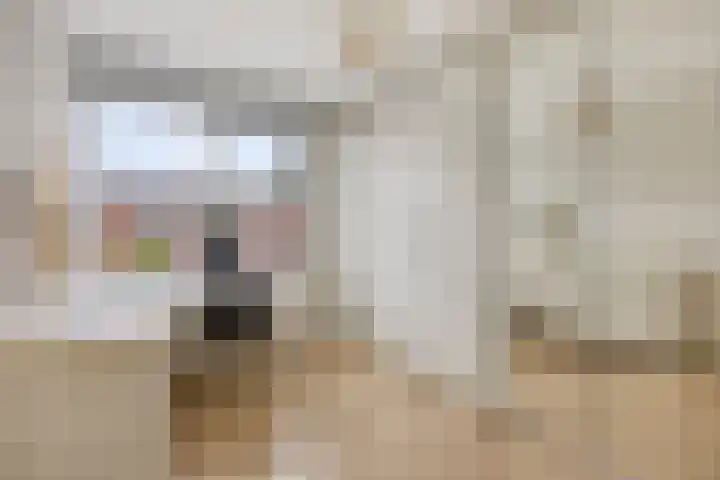 Prof. Kohnstammstraat 53 Utrecht thumbnail 16