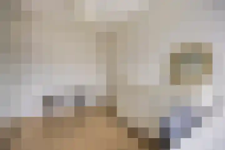 Prof. Kohnstammstraat 53 Utrecht thumbnail 17