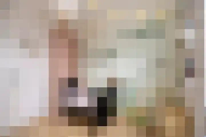 Prof. Kohnstammstraat 53 Utrecht thumbnail 19