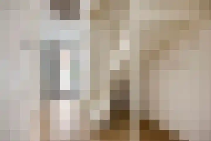 Prof. Kohnstammstraat 53 Utrecht thumbnail 27
