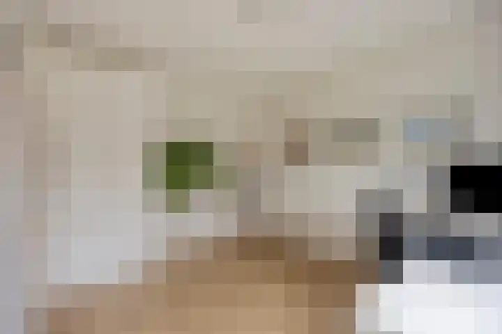 Prof. Kohnstammstraat 53 Utrecht thumbnail 28