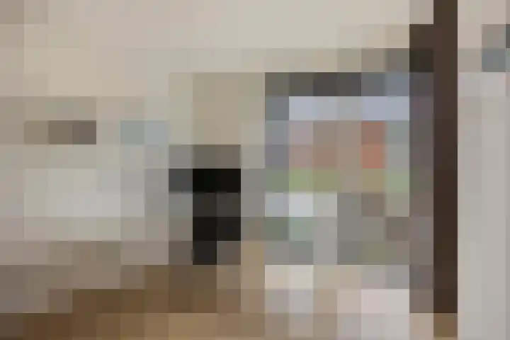 Prof. Kohnstammstraat 53 Utrecht thumbnail 29