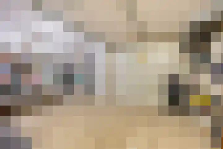 Prof. Kohnstammstraat 53 Utrecht thumbnail 31