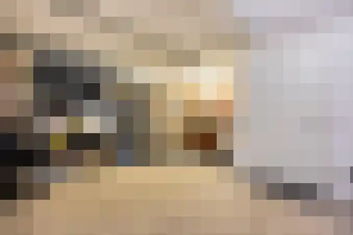 Prof. Kohnstammstraat 53 Utrecht thumbnail 35
