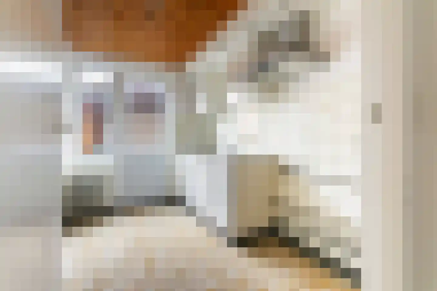 Prof. Krabbelaan 1 Baarn thumbnail 27