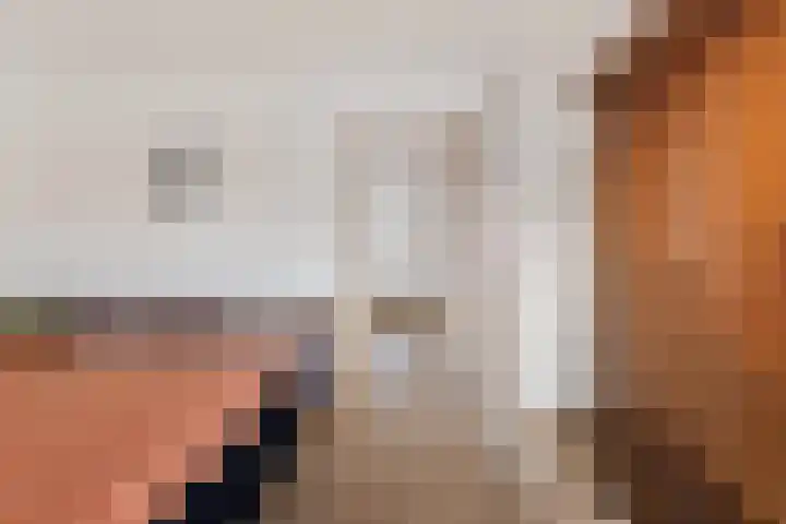 Prof. Krabbelaan 14 Baarn thumbnail 13