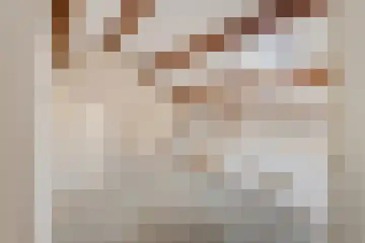 Prof. Krabbelaan 14 Baarn thumbnail 19