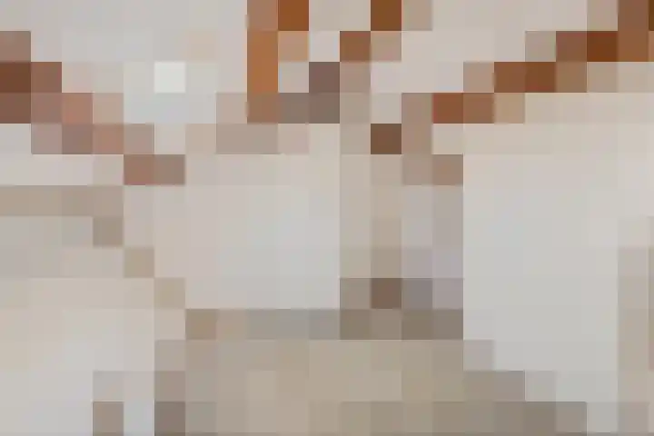 Prof. Krabbelaan 14 Baarn thumbnail 20