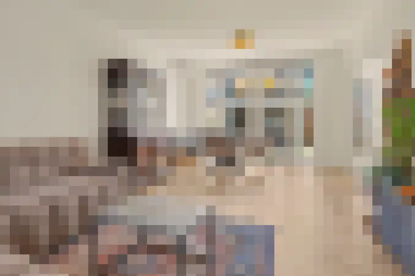 Prof. Krabbestraat 15 Waalwijk thumbnail 11