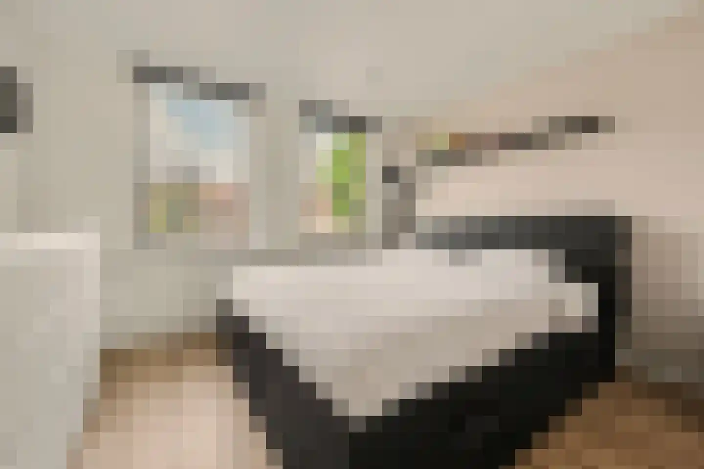 Prof. Krabbestraat 15 Waalwijk thumbnail 18