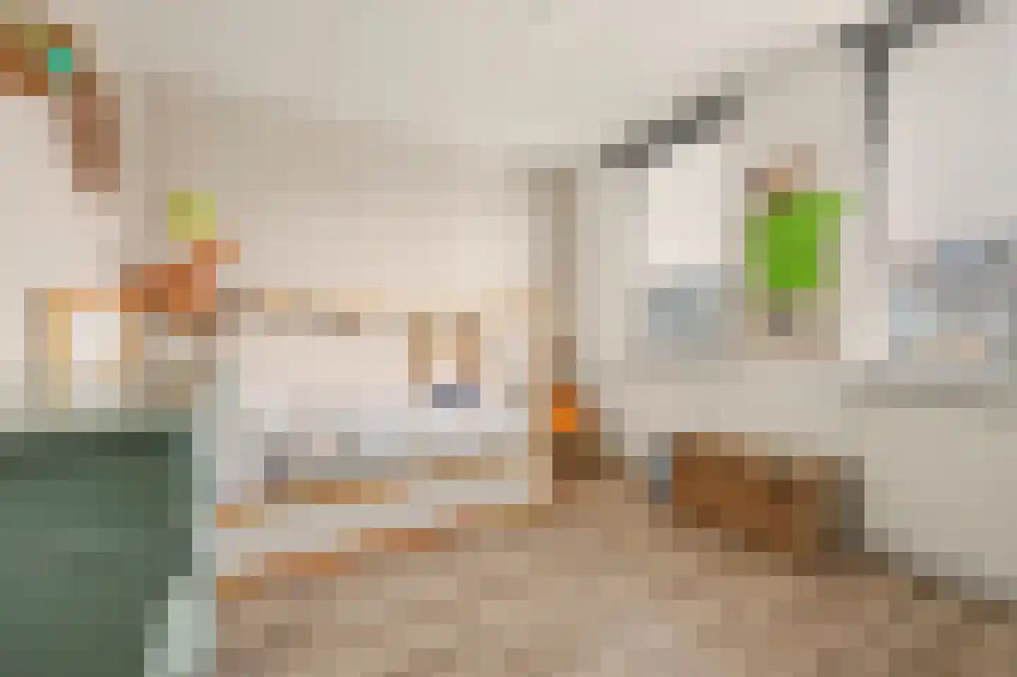 Prof. Krabbestraat 15 Waalwijk thumbnail 21