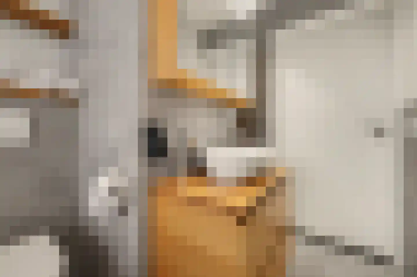 Prof. Krabbestraat 15 Waalwijk thumbnail 25