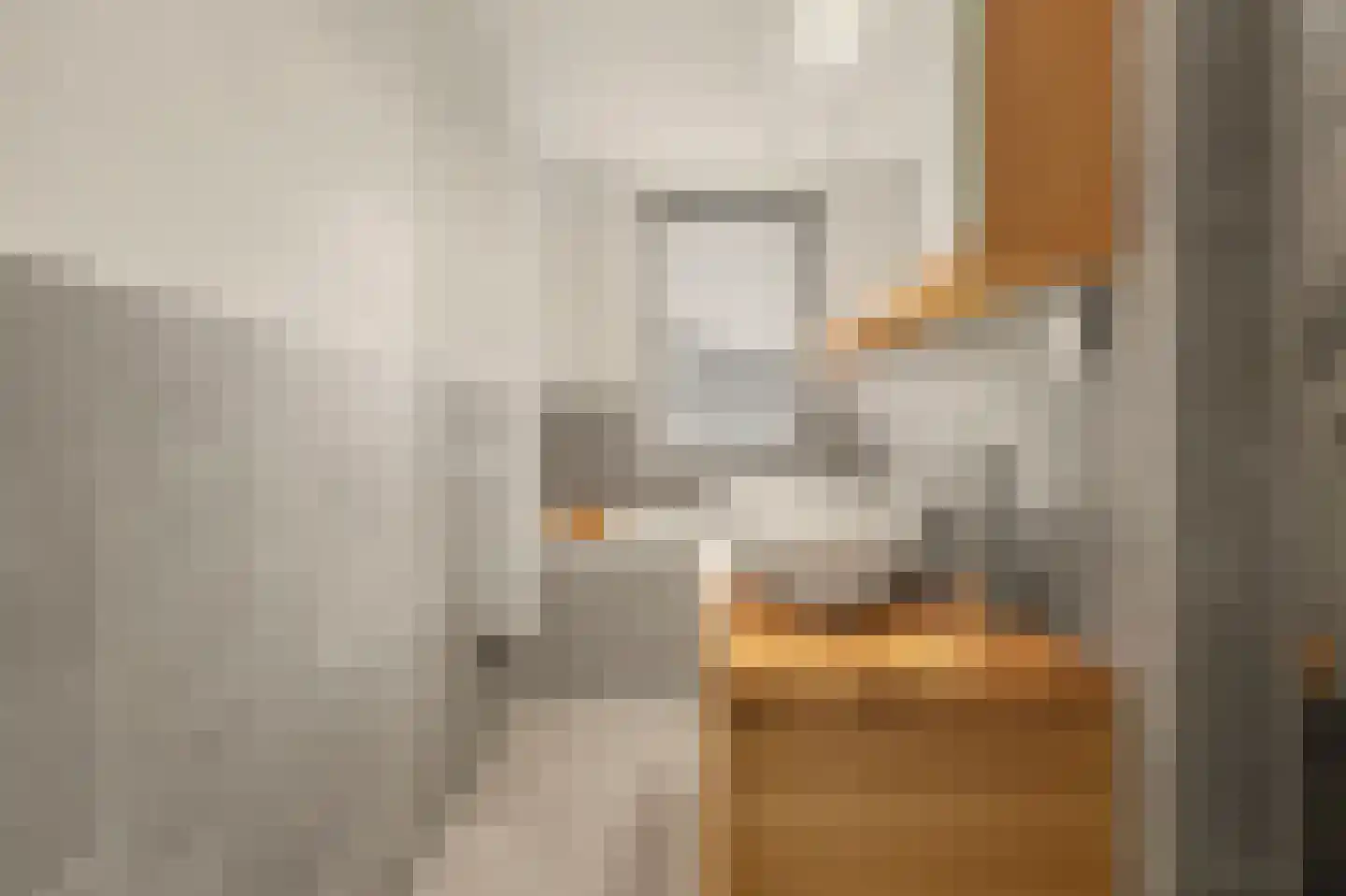 Prof. Krabbestraat 15 Waalwijk thumbnail 26