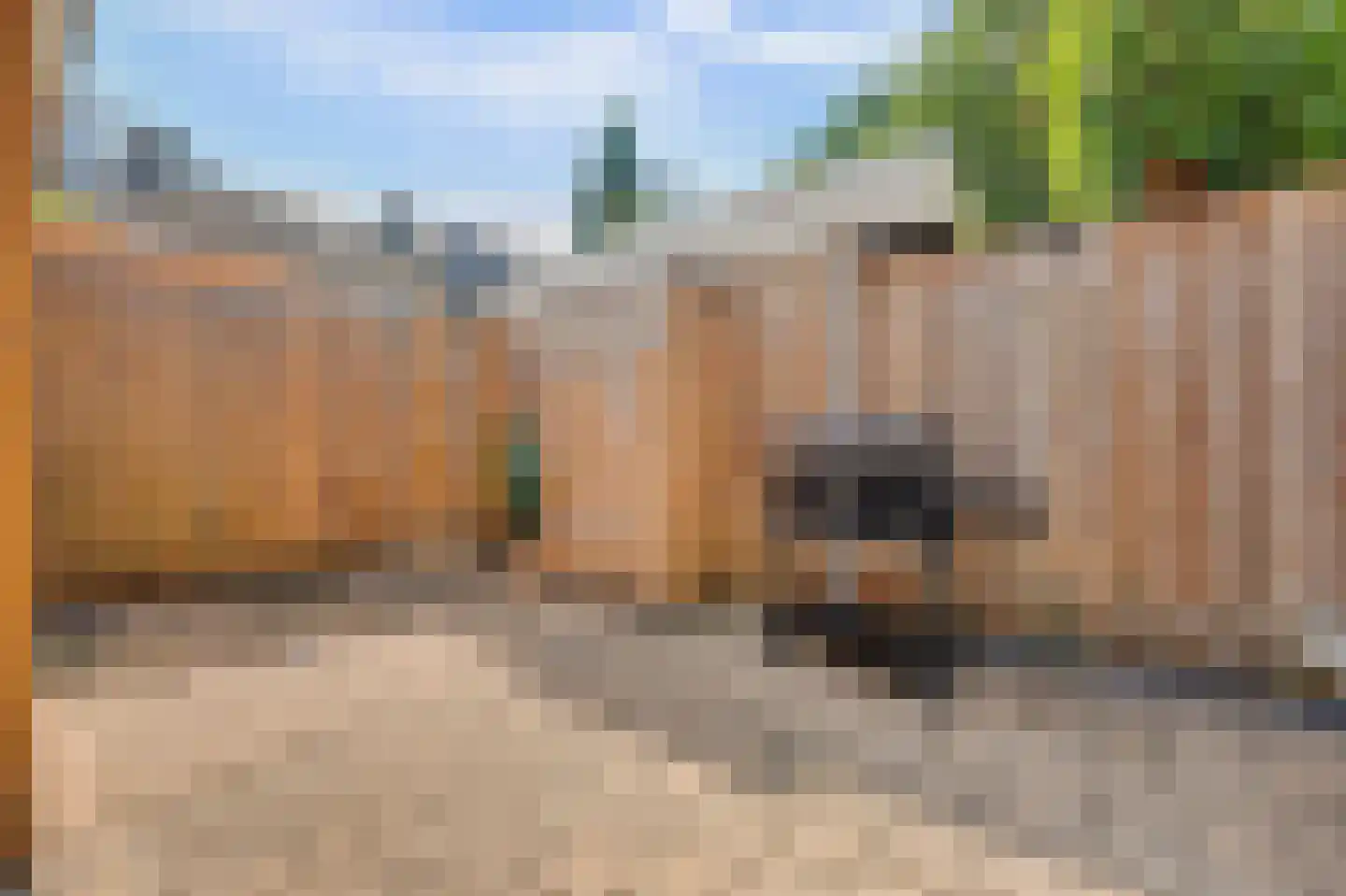 Prof. Krabbestraat 15 Waalwijk thumbnail 36