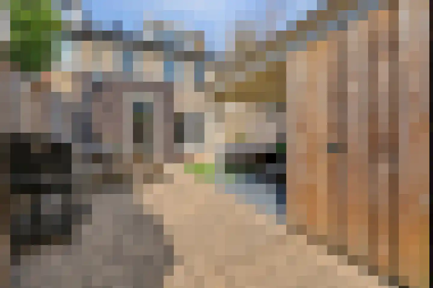 Prof. Krabbestraat 15 Waalwijk thumbnail 37