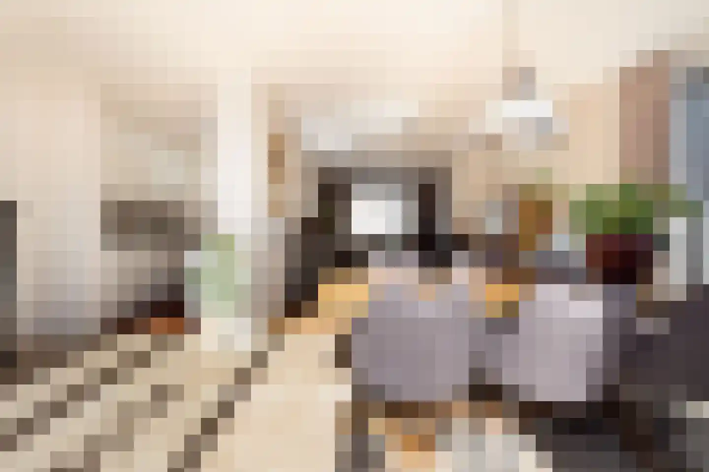 Prof. Krabbestraat 16 Waalwijk thumbnail 20