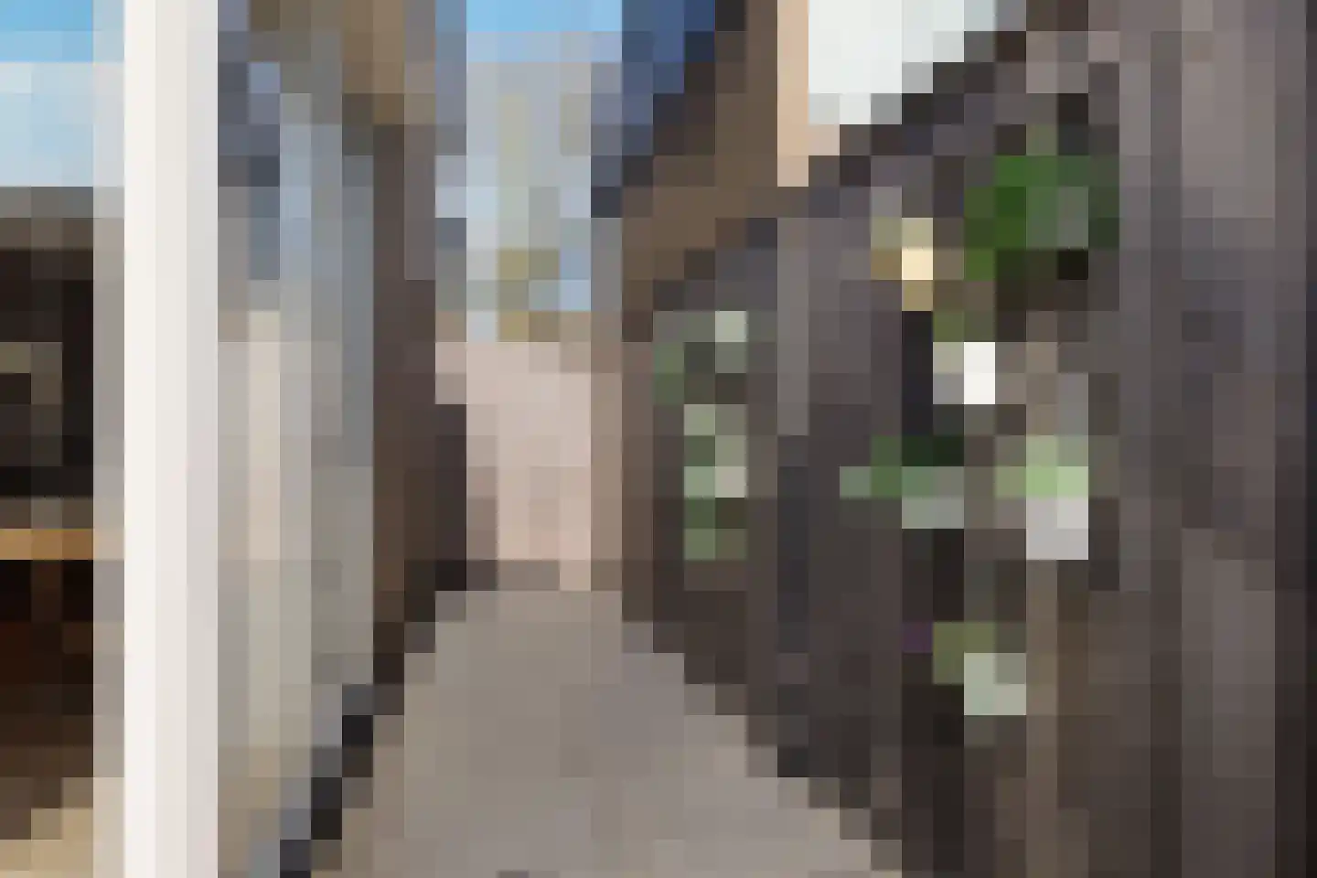 Prof. Krabbestraat 16 Waalwijk thumbnail 27