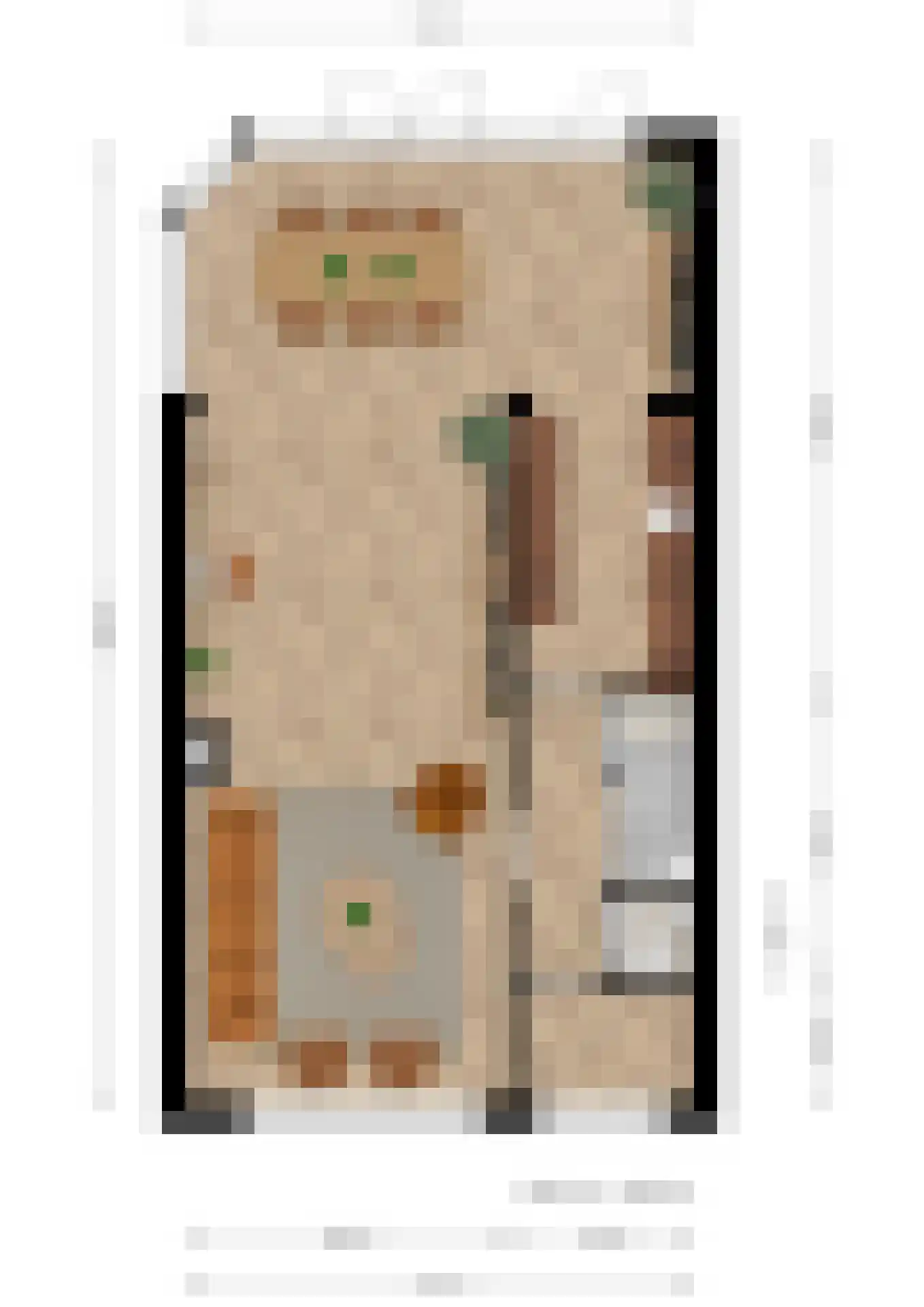 Prof. Krabbestraat 16 Waalwijk thumbnail 38