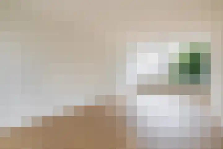 Prof. Krabbestraat 9 Waalwijk thumbnail 10