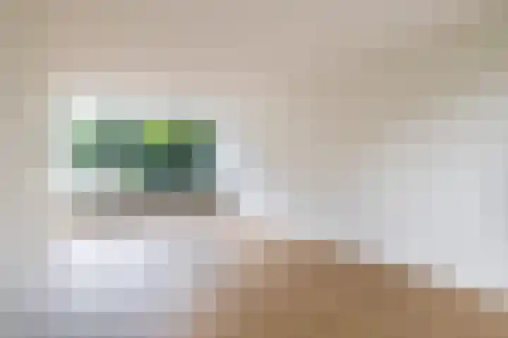 Prof. Krabbestraat 9 Waalwijk thumbnail 11