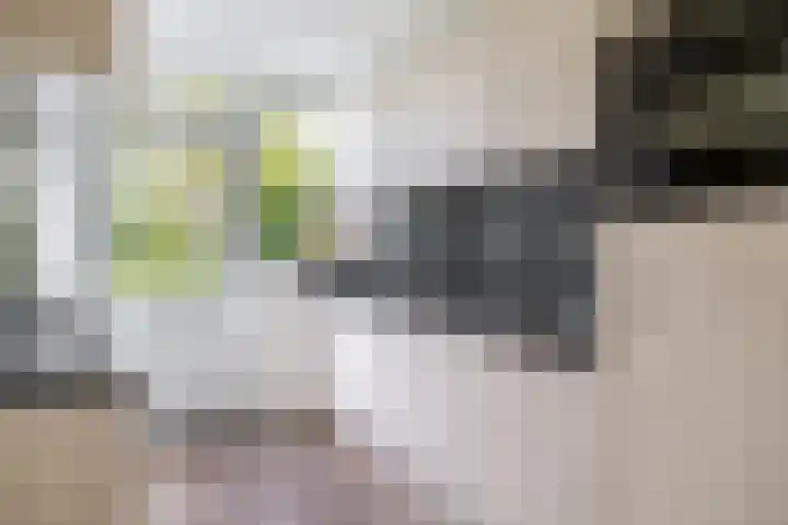Prof. Krabbestraat 9 Waalwijk thumbnail 12