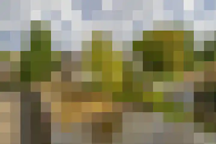 Prof. Krabbestraat 9 Waalwijk thumbnail 18