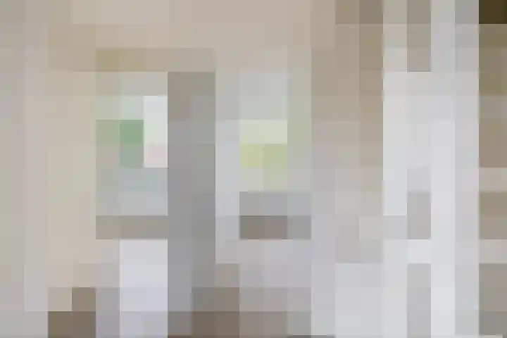 Prof. Krabbestraat 9 Waalwijk thumbnail 19