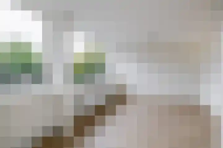 Prof. Krabbestraat 9 Waalwijk thumbnail 21