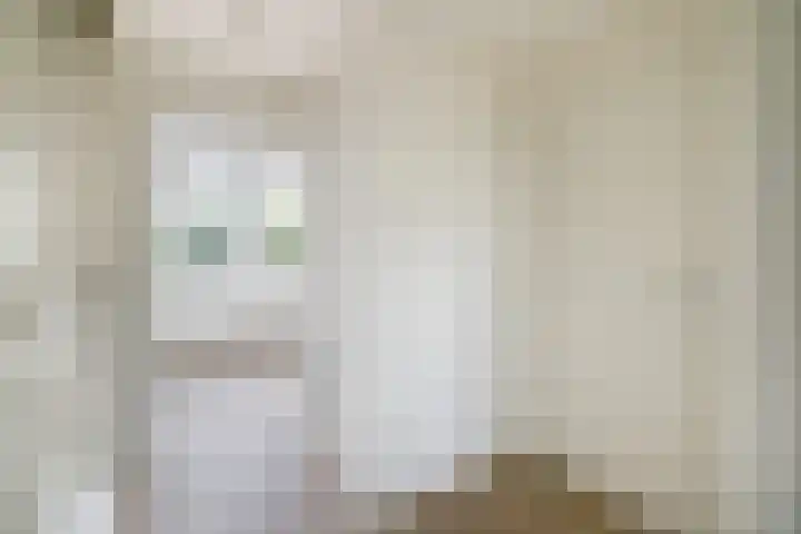 Prof. Krabbestraat 9 Waalwijk thumbnail 25