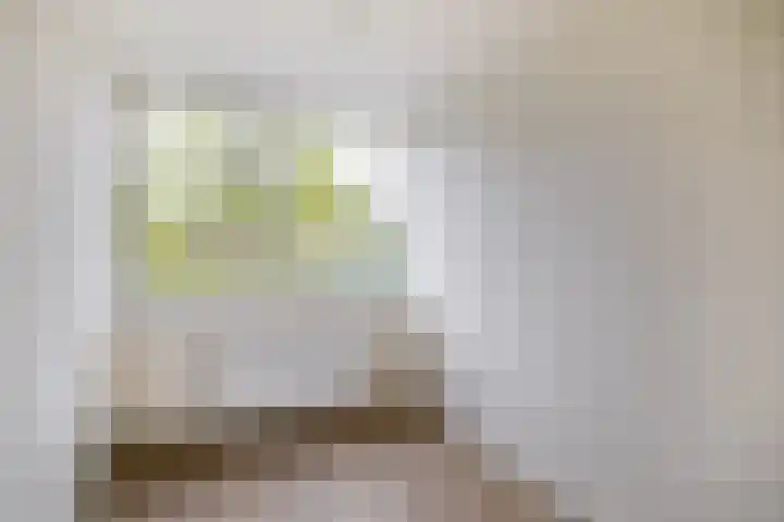 Prof. Krabbestraat 9 Waalwijk thumbnail 26