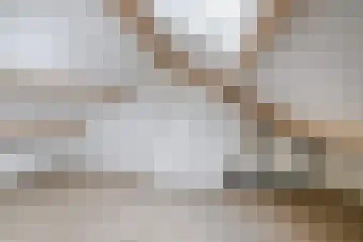 Prof. Krabbestraat 9 Waalwijk thumbnail 32