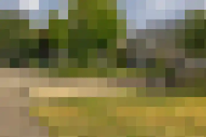 Prof. Krabbestraat 9 Waalwijk thumbnail 33