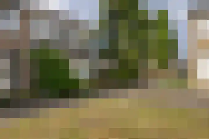 Prof. Krabbestraat 9 Waalwijk thumbnail 5