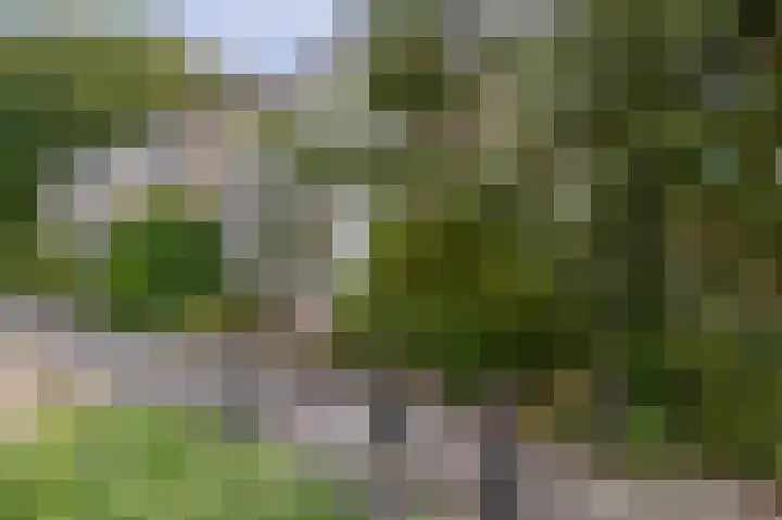 Prof. Krabbestraat 9 Waalwijk thumbnail 6