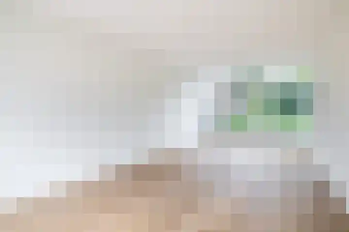 Prof. Krabbestraat 9 Waalwijk thumbnail 9